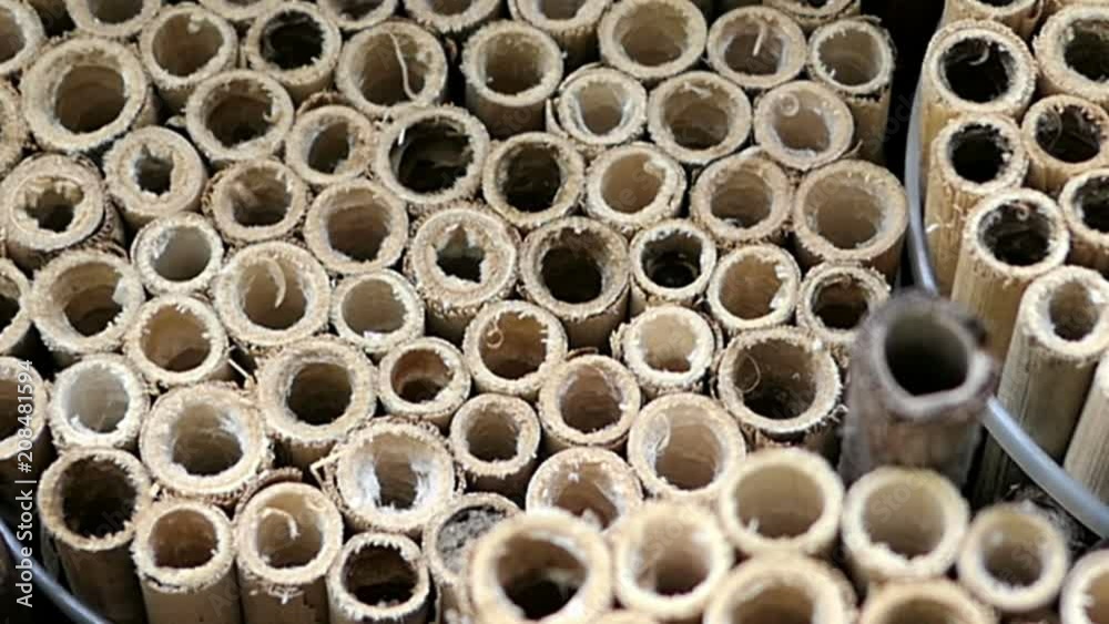 wild bee in front of an insect hotel. insect protection. wild bee in front of an insect hotel. insect protection.