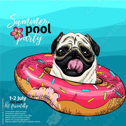 Vector portrait of pug dog swimming in water. Donut float. Summer pool paty illustration. Sea, ocean, beach. Hand drawn pet portait. Poster, t-shirt print, holiday celebration, postcard, summertime.