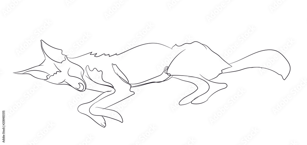 Fototapeta premium fox lies, line, vector