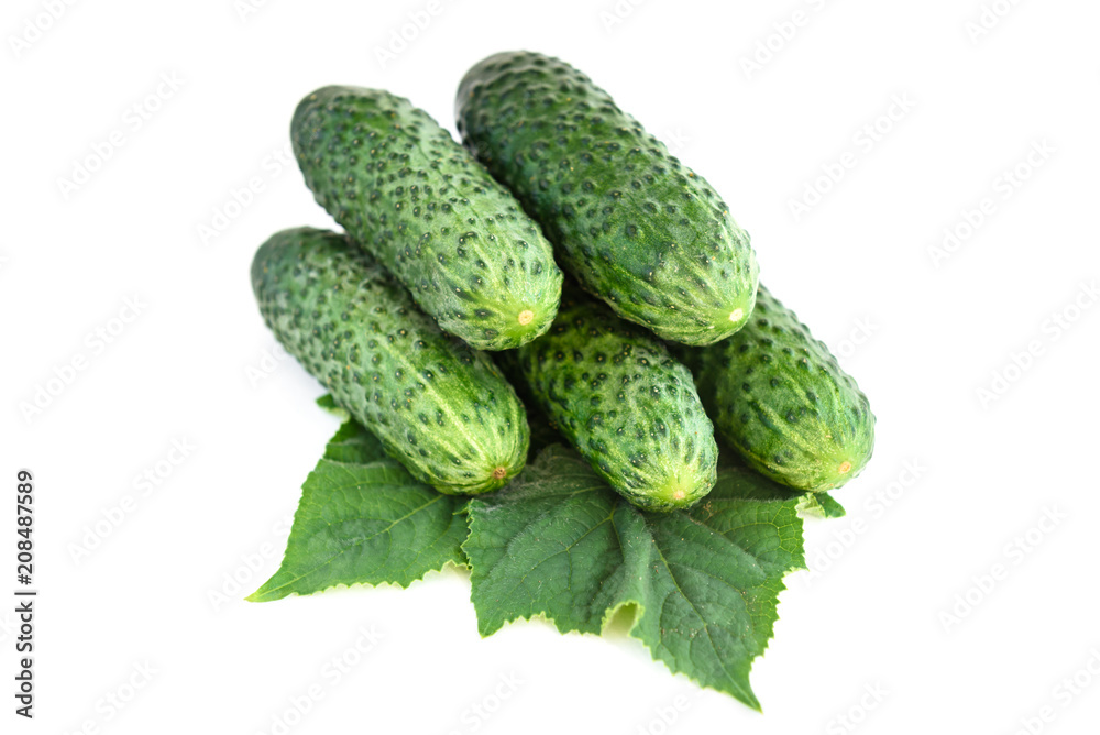 Cucumbers isolated on white background. Cucumbers isolated on white background.