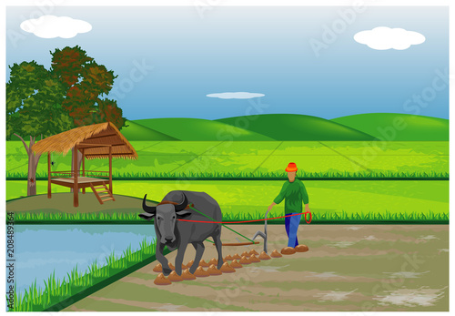 farmer plow in paddy field vector design