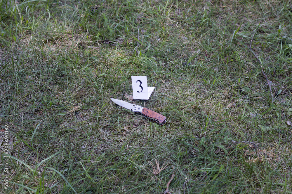 knife on the grass, investigation, murder knife on the grass, investigation, murder