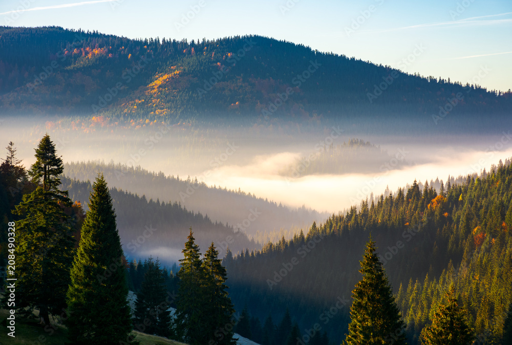 gorgeous foggy sunrise in mountains. beautiful autumn scenery of Apuseni Natural Park in Romania