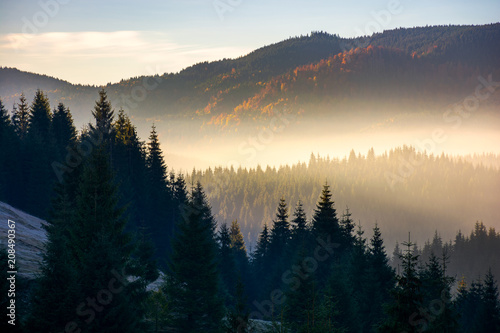 glowing fog in mountains at sunrise. beautiful autumn scenery of Apuseni Natural Park in Romania