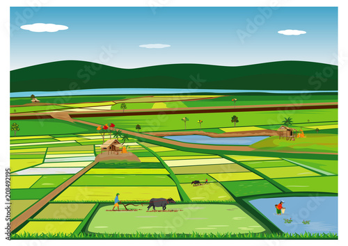 farmer plow in paddy field vector desing