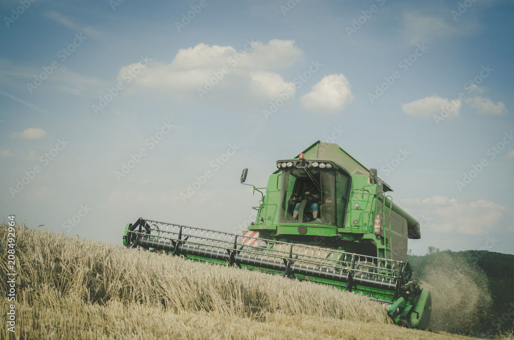Obraz premium Ernte 