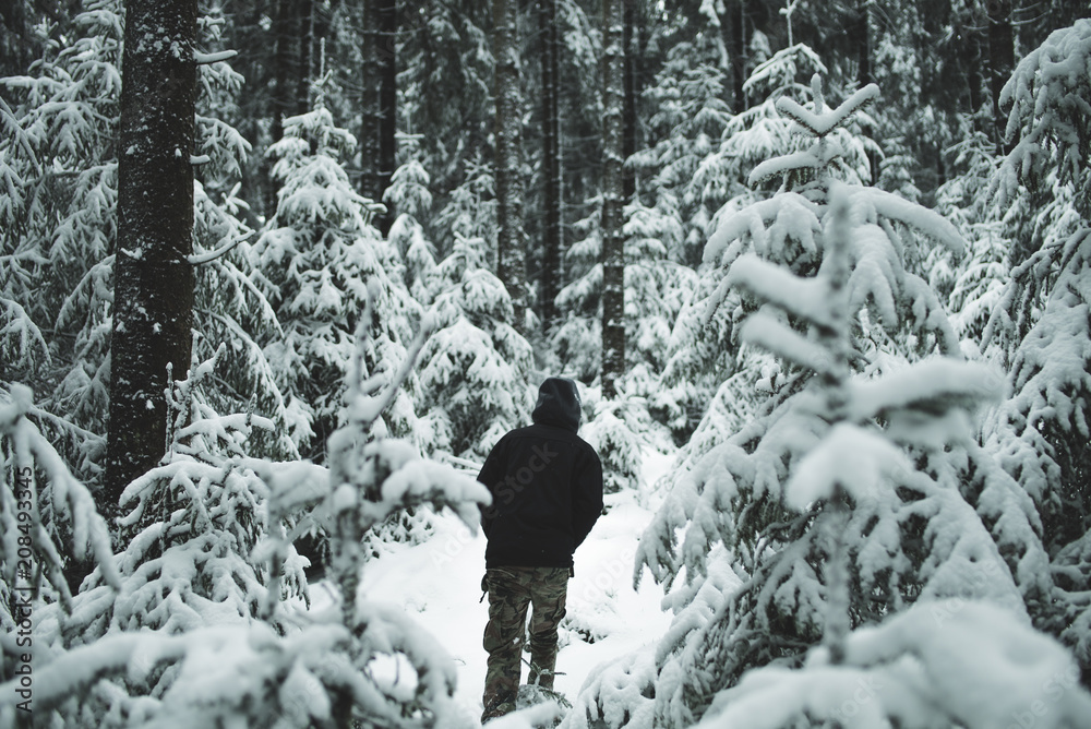Person bei Schneewanderung im Wald