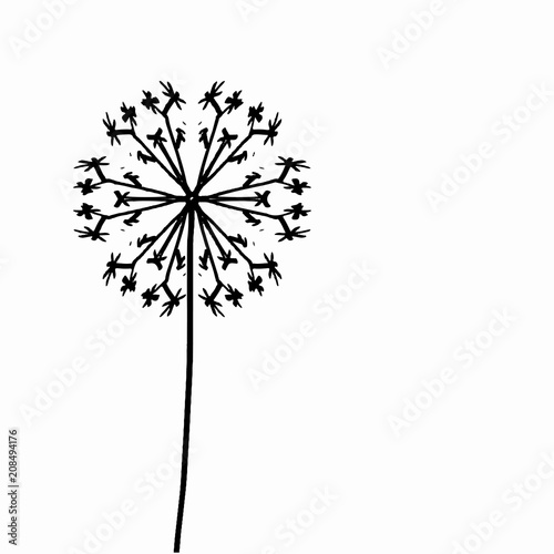 Pusteblume – Löwenzahnsamen – spätsommerliches Ornament