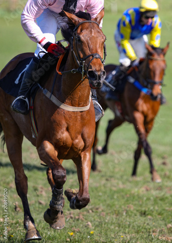 Race horse and Jockey and running on the race track