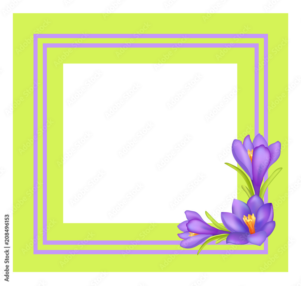 Decorative Frame for Photo or Text Spring Flowers Decorative Frame for Photo or Text Spring Flowers