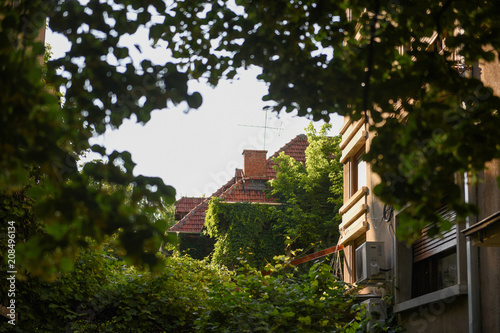 Bucharest view - Historical buildings and vegetation in Cotroceni neighbourhood photo