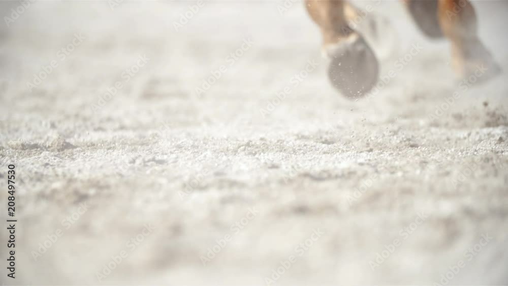 Hooves dig holes while gallopping in slow motion 4K. Long shot tracking of horse hooves in focus while running on sand and particles fly behind the hooves.