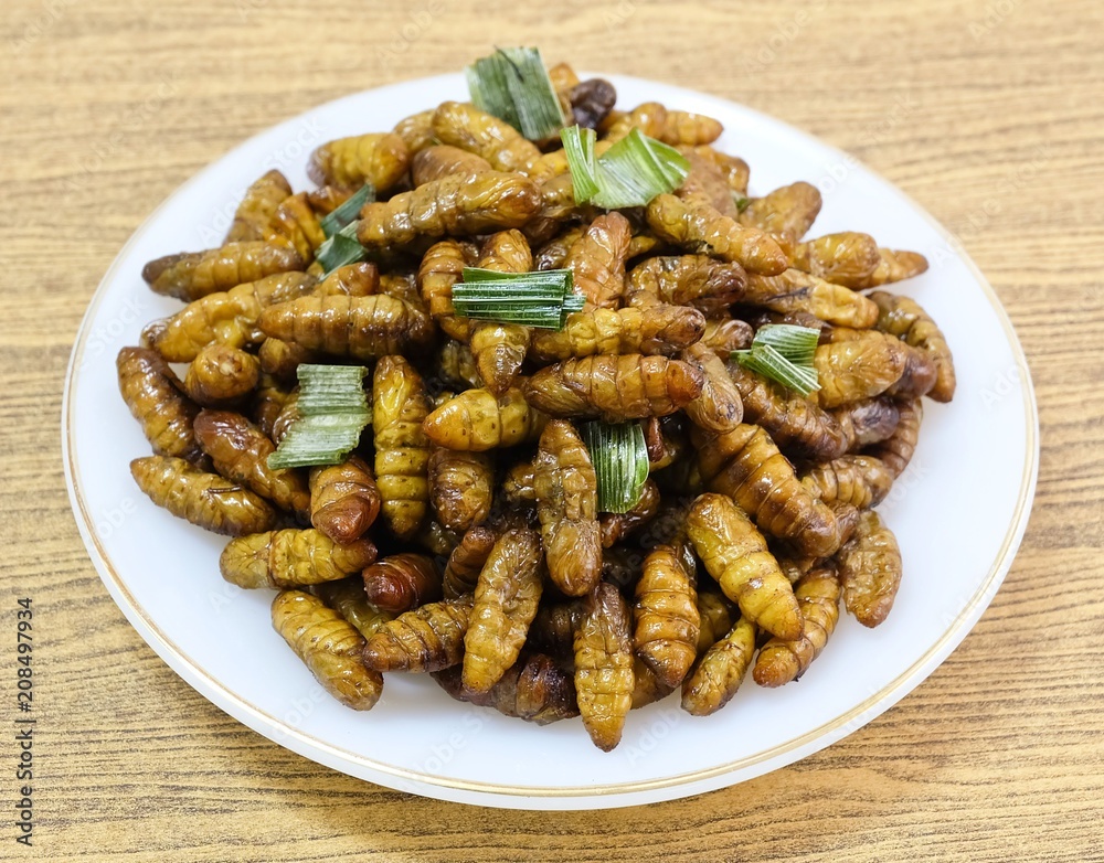 Deep Fried Coconut Worms on A White Dish