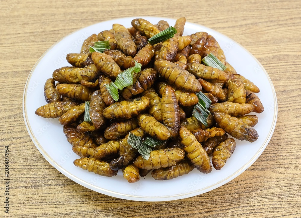 Deep Fried Coconut Worms on A White Dish Deep Fried Coconut Worms on A White Dish