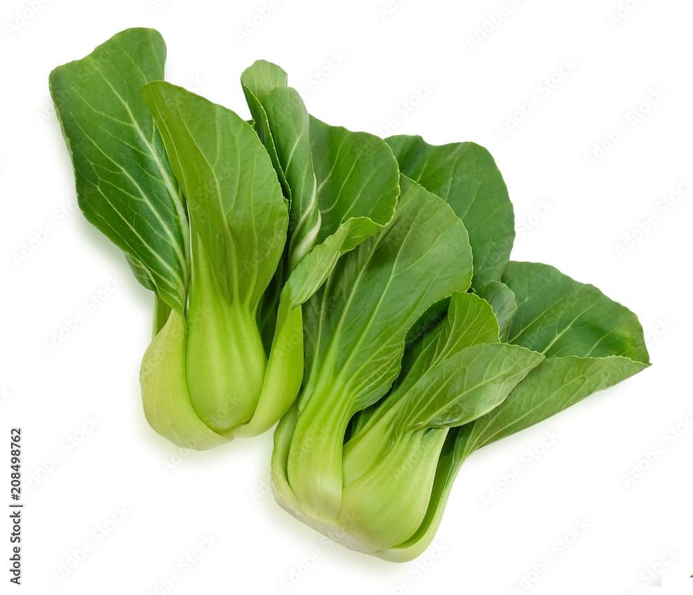Fresh Green Bok Choy on White Background Fresh Green Bok Choy on White Background