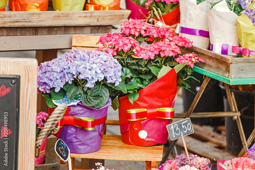 Close-up beautiful various bouquets for sale at flower shop
