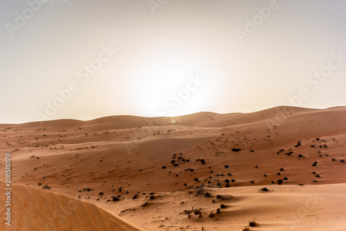 The dunes of the Wahiba Sands desert in Oman at sunset during a typical summer sand storm - 23