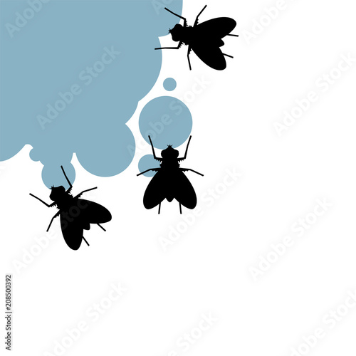 flies eating illustraiton