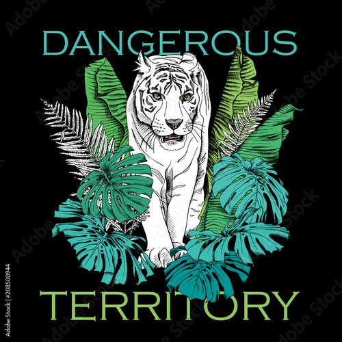 Photography Poster with image of a white tiger walking in green banana leaves, fern, monstera on a black background