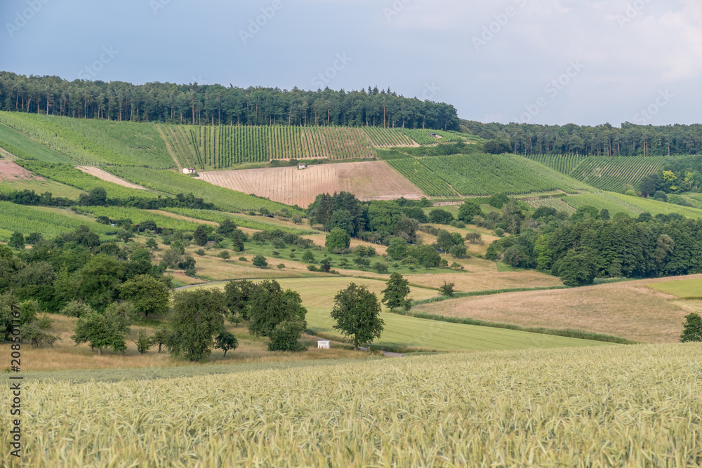 Ackerbau im Frühjahr Ackerbau im Frühjahr