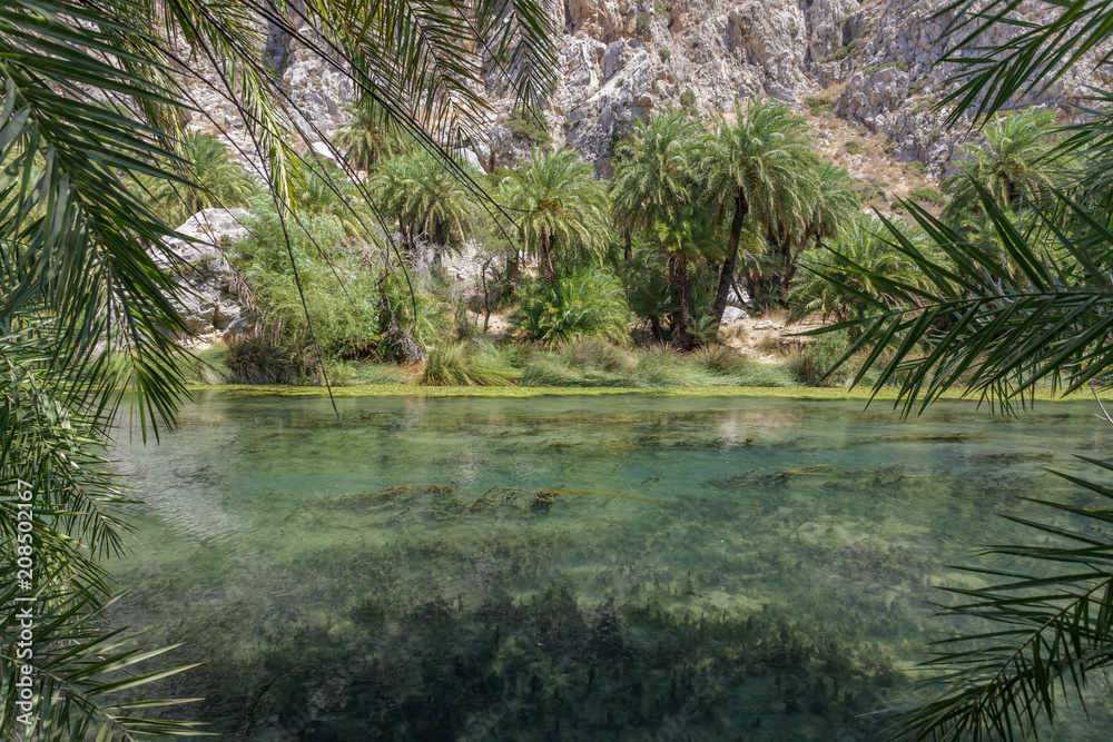 Wanderung durch die Preveli Schlucht auf Kreta Griechenland. Blick auf den Fluss mit Palmen, Wasser und Felsen Wanderung durch die Preveli Schlucht auf Kreta Griechenland. Blick auf den Fluss mit Palmen, Wasser und Felsen