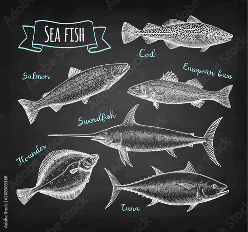 Sea food chalk set.