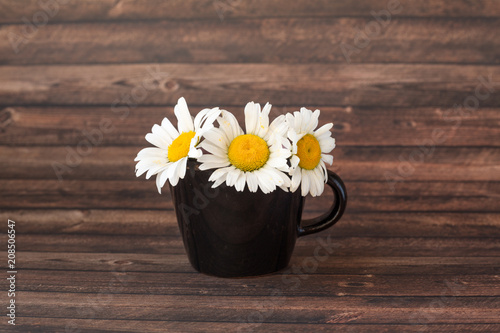 chamomile in a cup