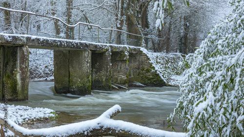 Derniere chute de neige  photo