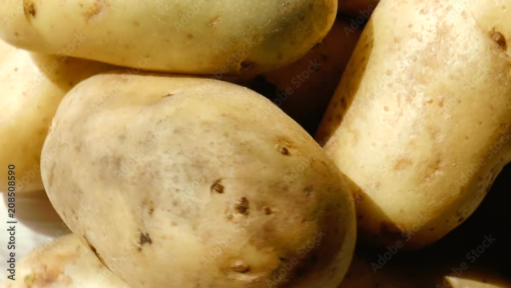 Video shows pile of potatoes rotating close-up Video shows pile of potatoes rotating close-up