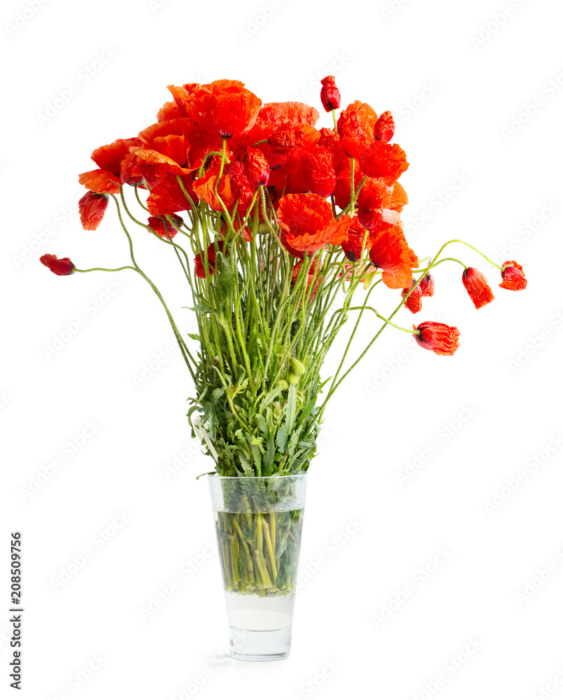 Bouquet of poppy flowers