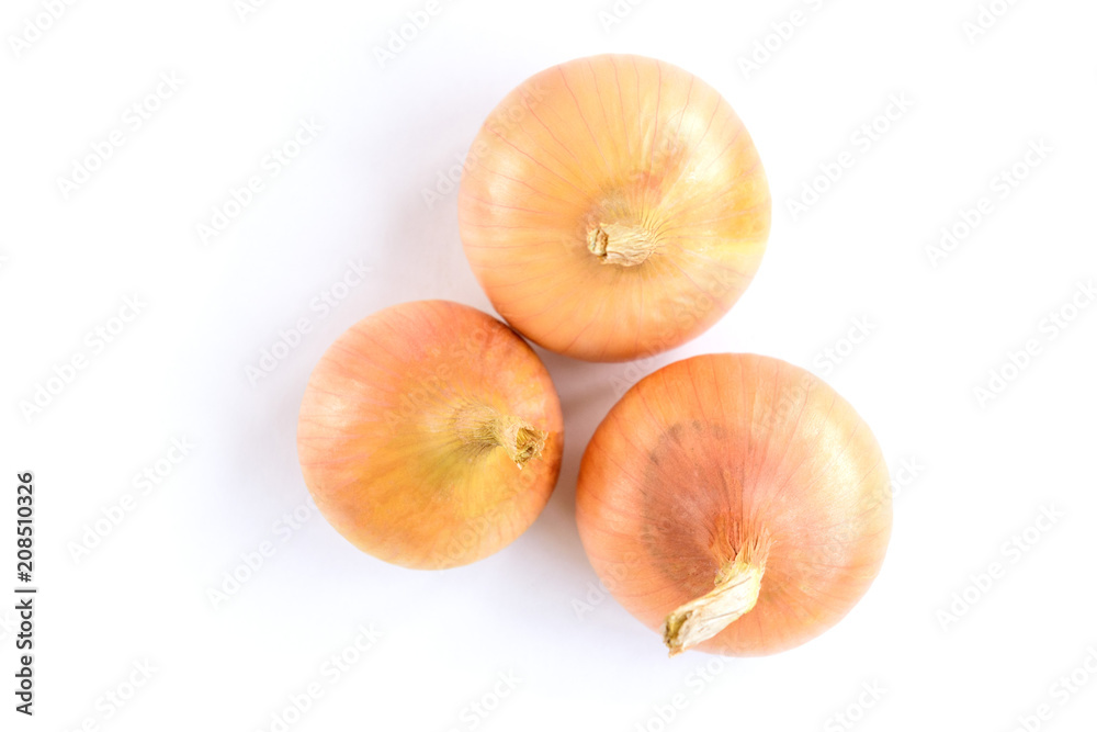 Onion isolated on white background. Onion isolated on white background.