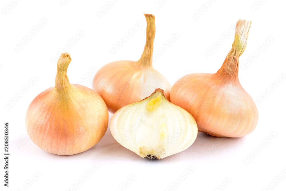 Fototapeta premium Onion isolated on white background.