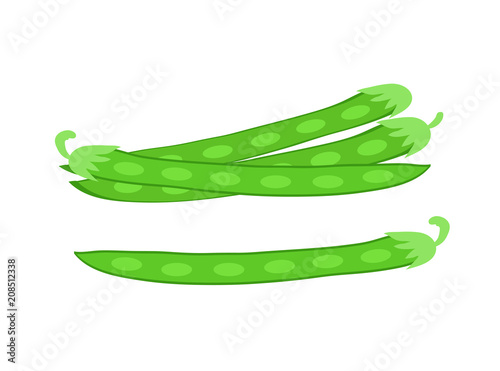Vegetables. Pods of green bean. Vector illustration cartoon flat icon isolated on white.