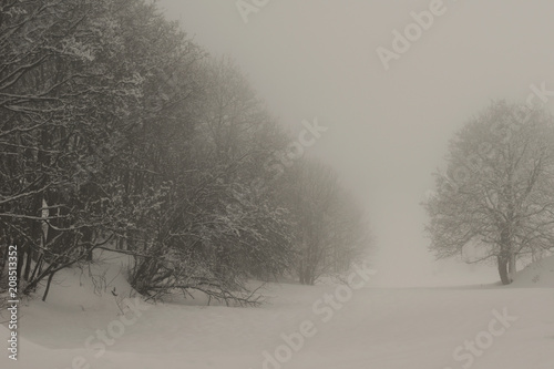 Brouillard enneigée
