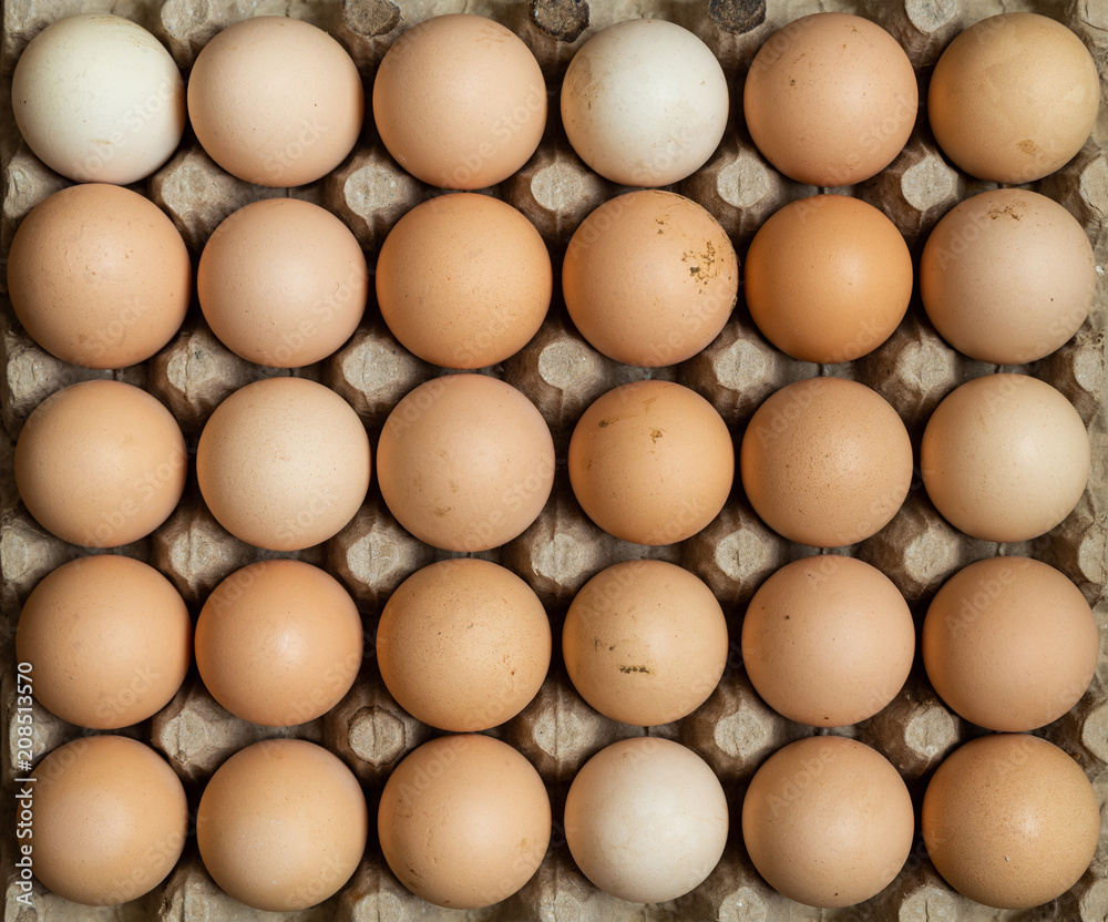 Overhead view of free range organic chicken eggs in tray. Some eggs are dirty. Overhead view of free range organic chicken eggs in tray. Some eggs are dirty.