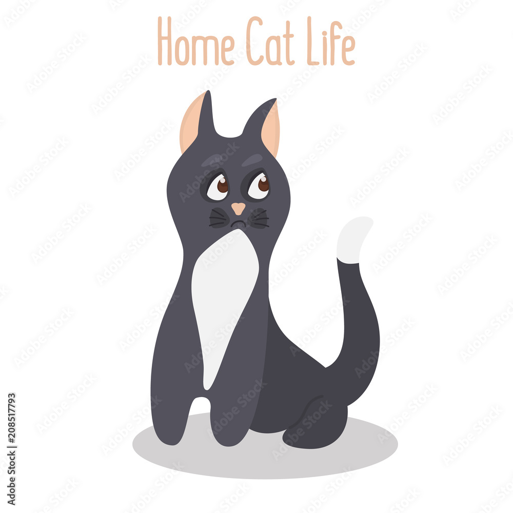 Fototapeta premium A cute cat sits on the floor color flat icon