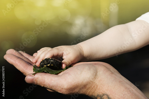 The baby's hands are touched by a tiny turtle in the mother's palm
