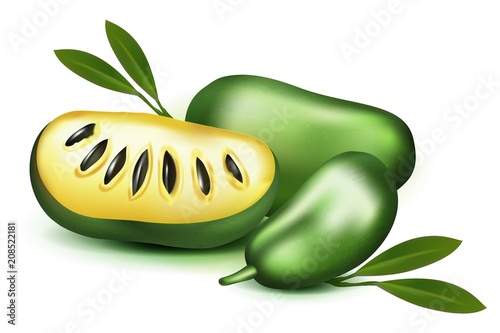 Photo Realistic 3d vector pulp and seeds with leaves isolated on white background papaya papaw fruit asimina triloba , custard apple, or pawpaw plant Carica papaya