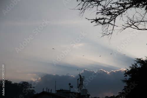 sunset