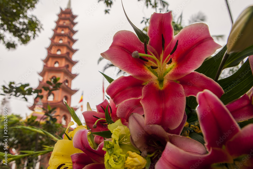 asia vietnam