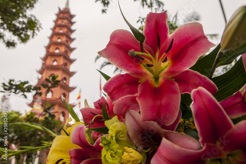 Obraz na płótnie asia vietnam w salonie