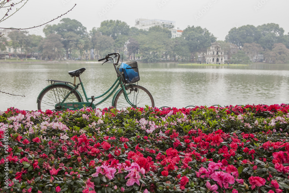 bici en vietnam
