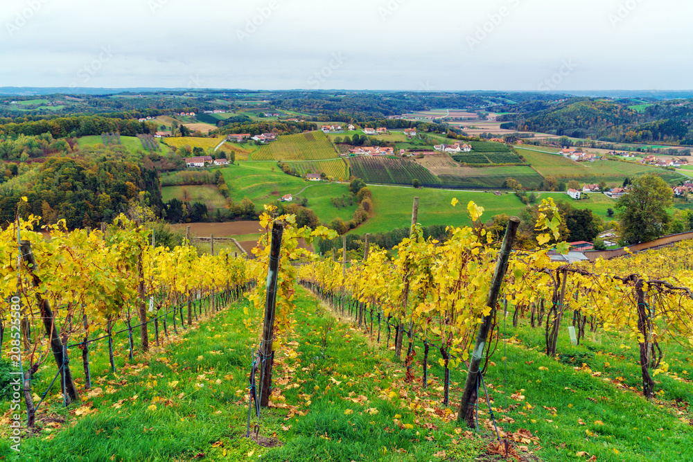 Fototapeta premium Vineyards surrounding castle Riegersburg, Styria, Austria