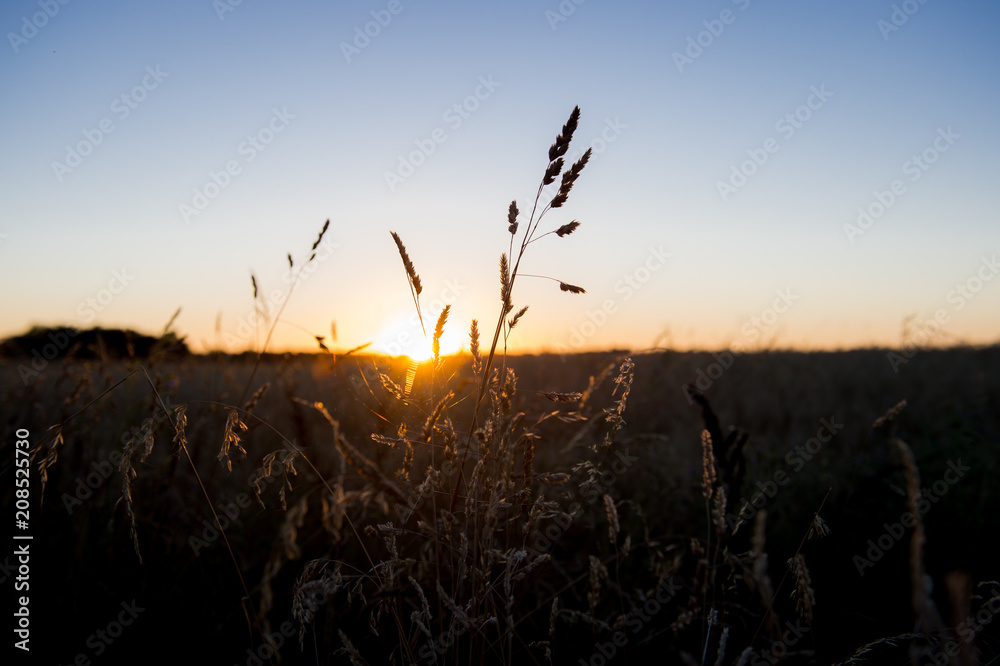 Paysage Sunlight Paysage Sunlight