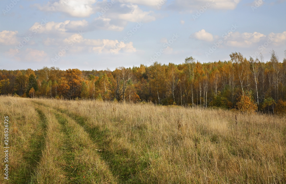 Fototapeta premium Landscape near Myshenki village. Tula oblast. Russia