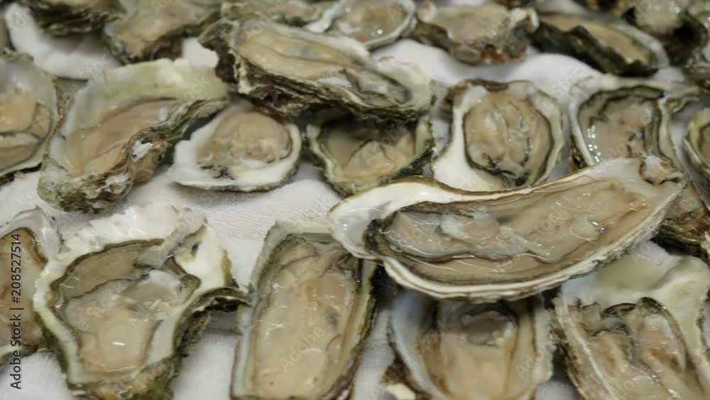 Super close-up of fresh oysters on a white plate with ice. The circular movement of the camera Super close-up of fresh oysters on a white plate with ice. The circular movement of the camera