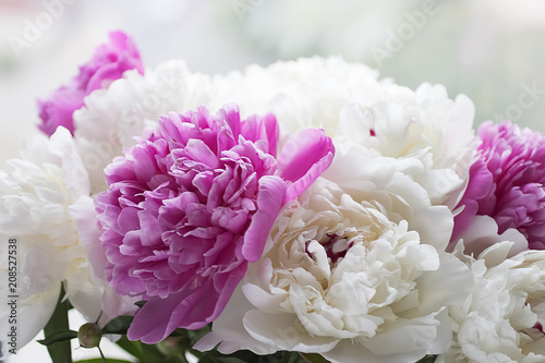 A bouquet of flowers close-up. White and pink peonies.