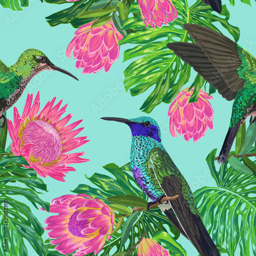 Floral Tropical Seamless Pattern with Exotic Flowers and Humming Bird. Blooming Protea Flowers, Birds and Monstera Leaves Background for Fabric, Wallpaper, Textile. Vector illustration