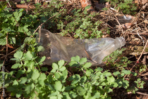 Plastic bottle littering forest areas