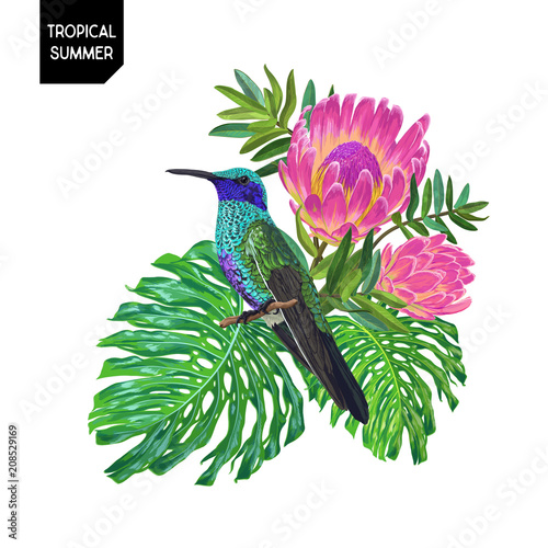 Summer Tropical Design with Hummingbird and Exotic Flowers. Floral Background with Tropic Bird, Protea and Monstera Palm Leaves. Vector illustration
